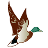The Reserve at Spanos Park logo