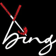Bing Vietnamese Fusion logo