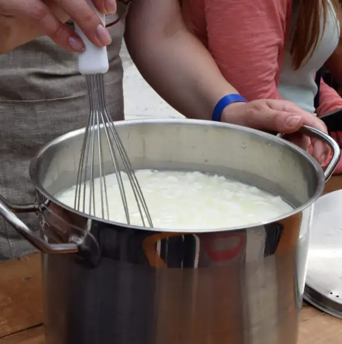 Cheeseology
