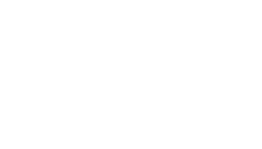 Conveyor Solutions