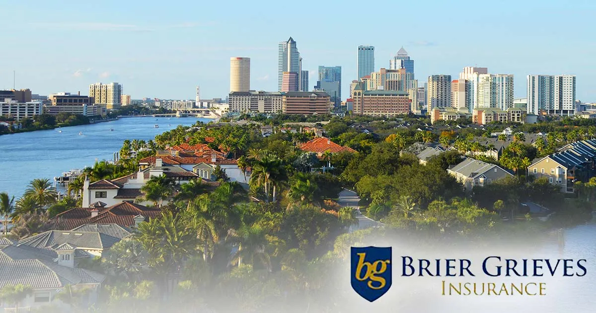 Brier Grieves Insurance