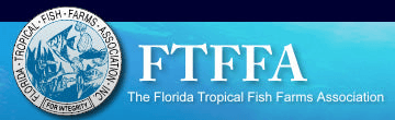 FTFFA CO-OP logo