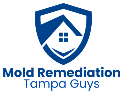 Mold Remediation Tampa Guys logo