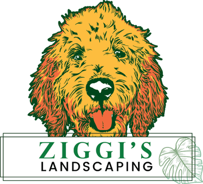 Ziggi's Landscaping logo