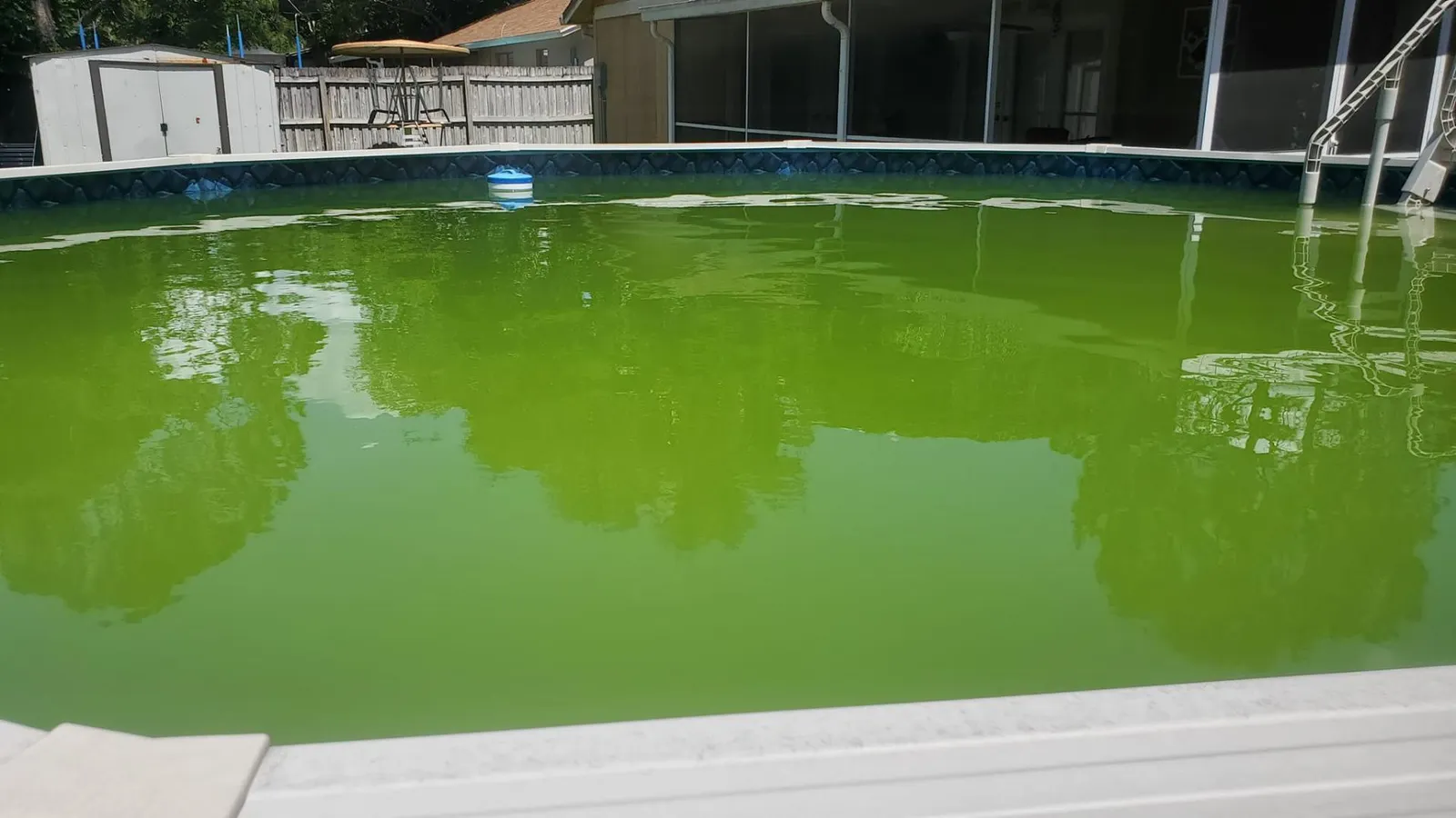ASJ Pool Service