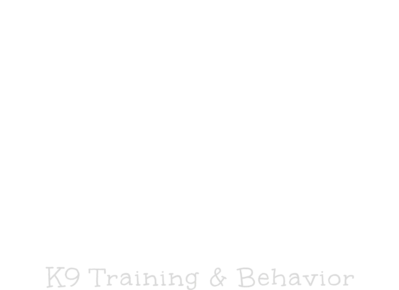 Zack's Pack Dog Training