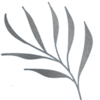 Luxe Day Spa logo