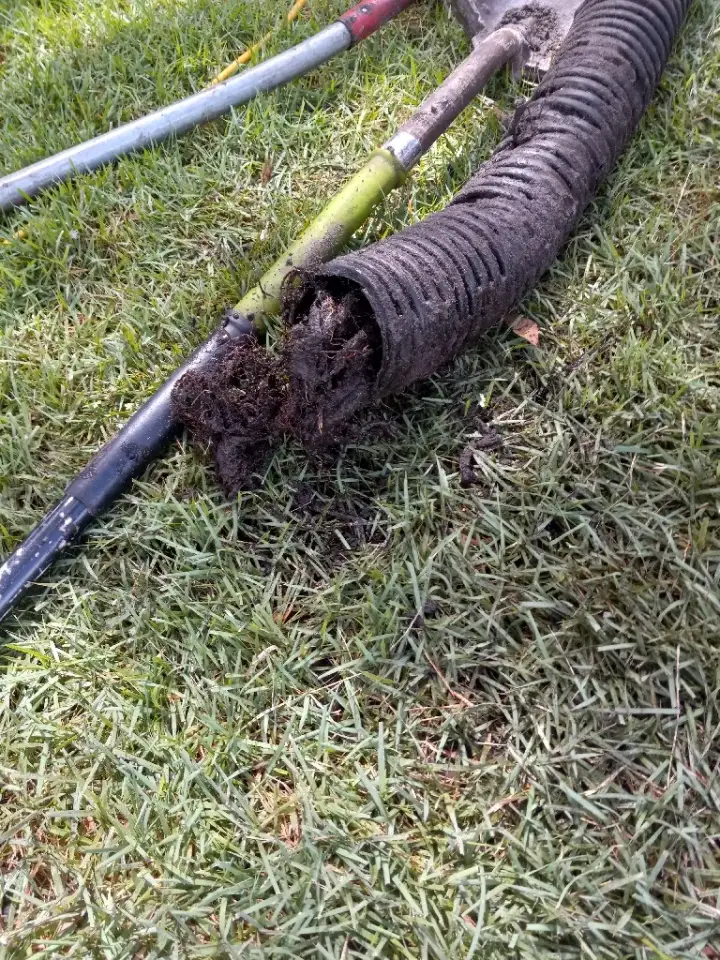 Pat the Gutter Rat