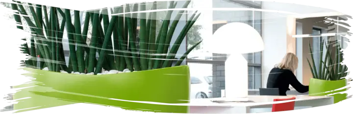 Plantz is now Natura