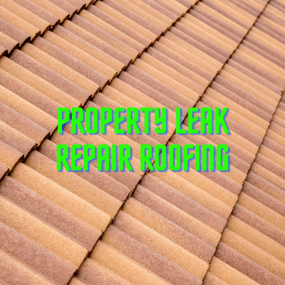 Property Leak Repair Roofing logo