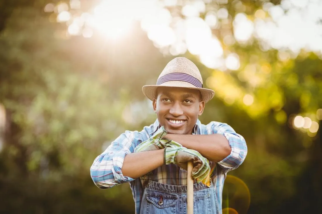 Sugar Land Landscapers