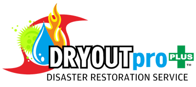 DRYOUTpro PLUS, Inc. logo