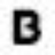 Black Goose Cafe logo