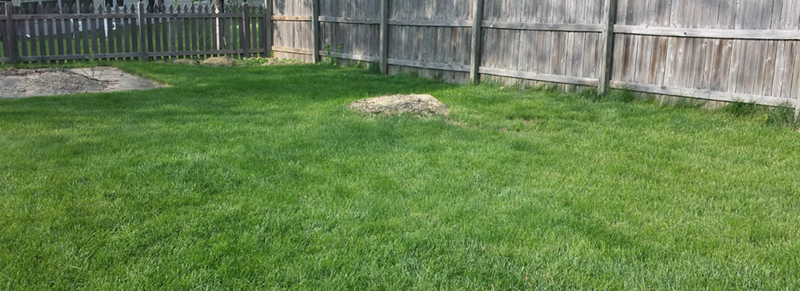 2 Guys Tree Service.com