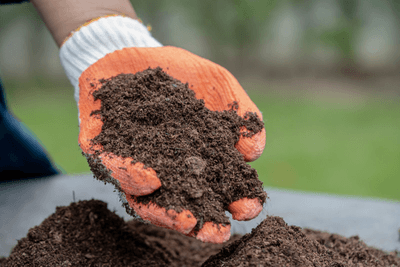 Turf and Tree Doctor logo