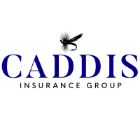Caddis Insurance Group logo