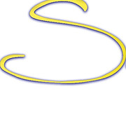Senza Salon and Med Spa logo
