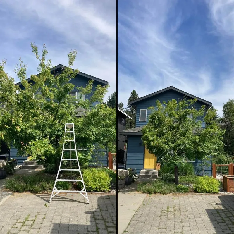 Summit Tree Care LLC
