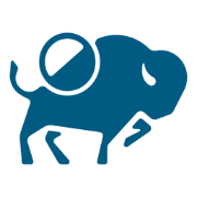 The Hawk logo