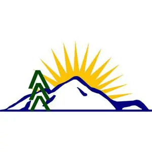 New Energy Solutions logo