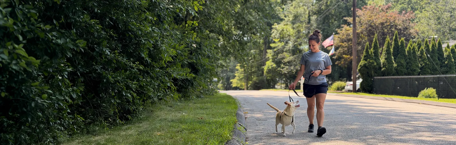 Lasata Dog Training