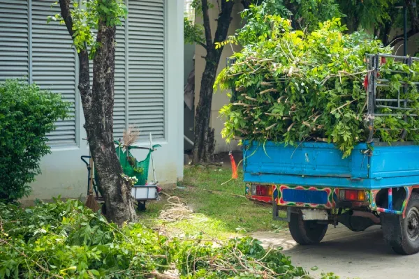 Tree Services by AC