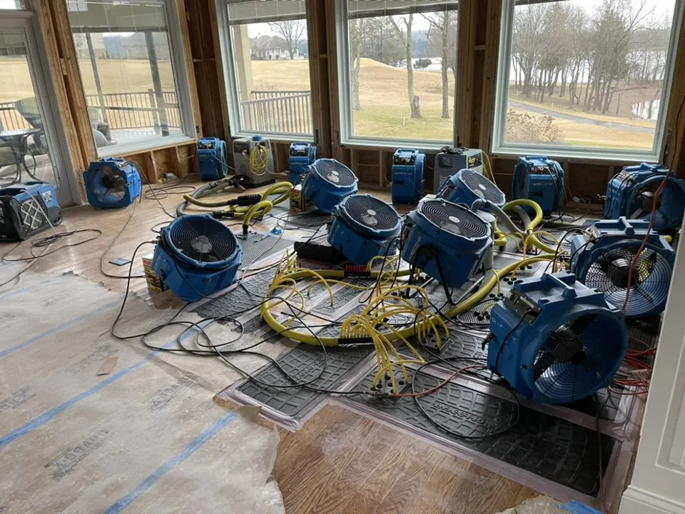 Water Damage DMV