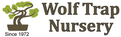 Wolf Trap Nursery logo