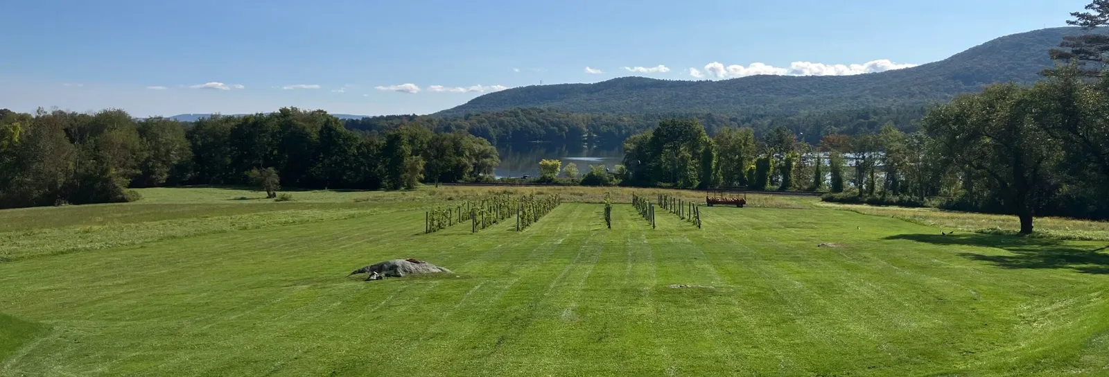 BALDERDASH CELLARS