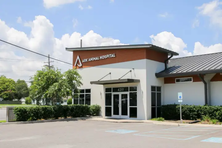 Ark Animal Hospital