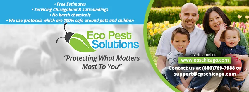 Eco Pest Solutions