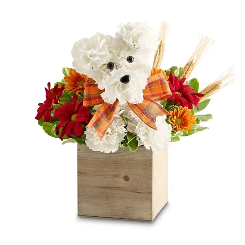 The Flower Shop of Chicago