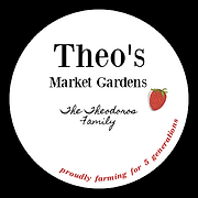 Theo's Market Garden logo