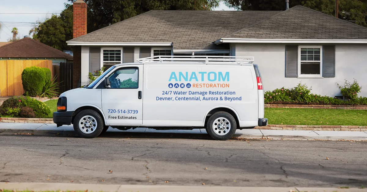 Anatom Restoration