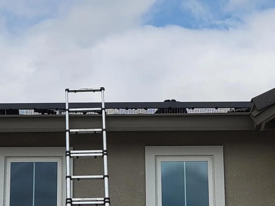 Golden State Critter Control