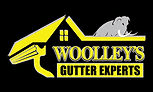 Woolley's Gutter Experts San Diego logo