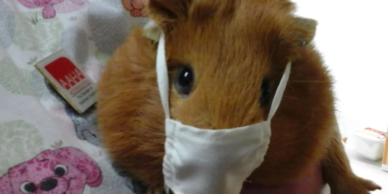 Creswell Veterinary Hospital