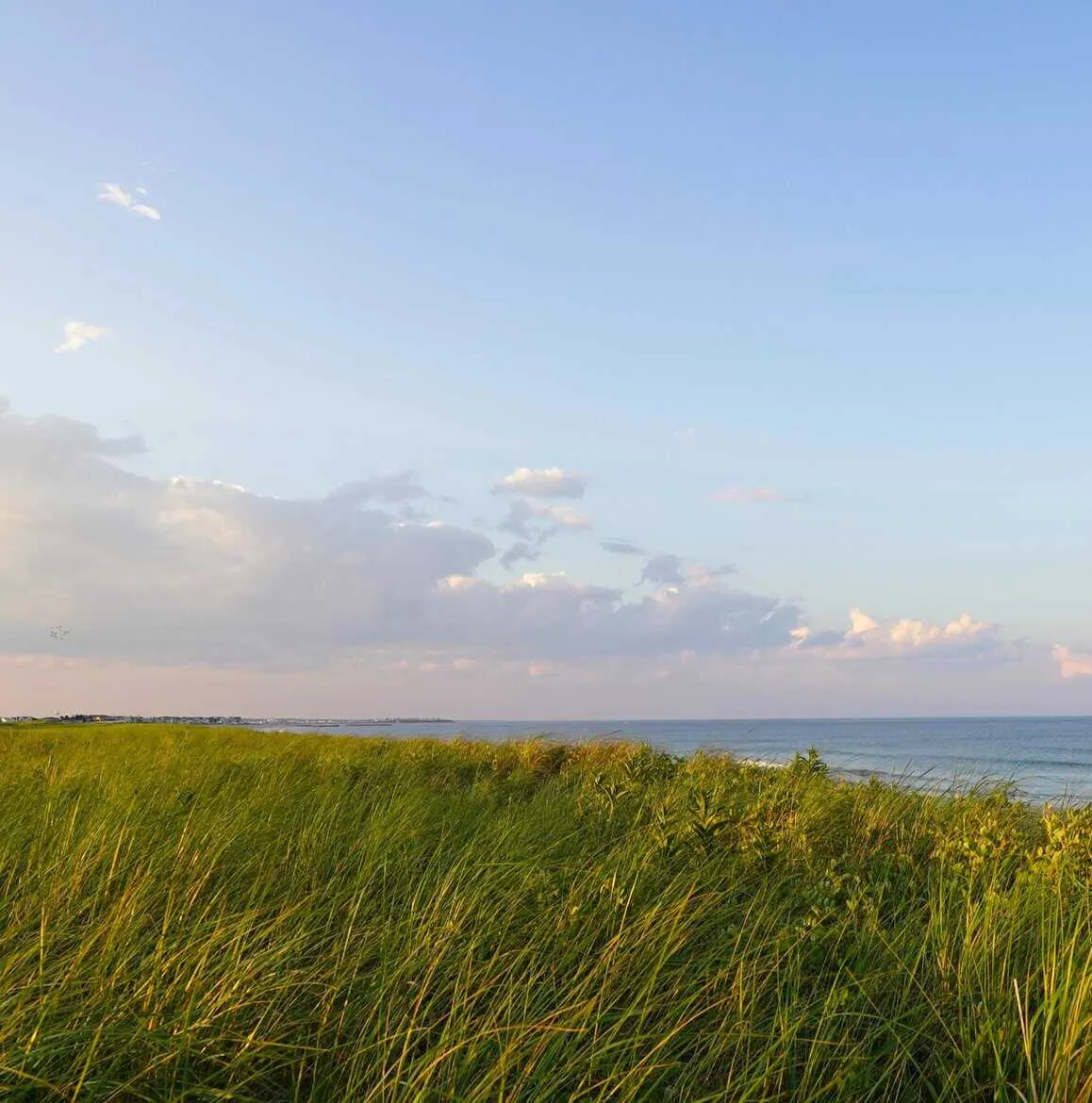 Tate & Foss Sotheby's International Realty