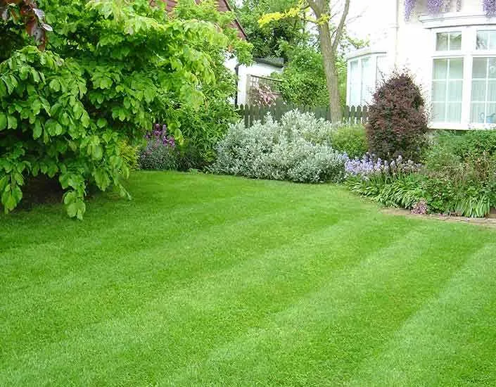 Ramos Landscaping