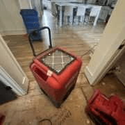White Glove Water Damage Restoration logo