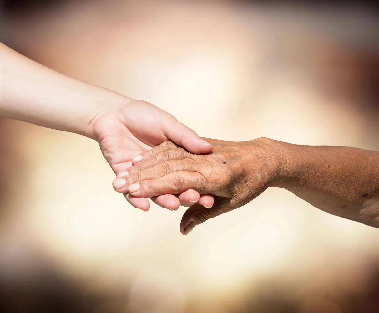 Elder Law Services