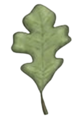 American Tree Service logo