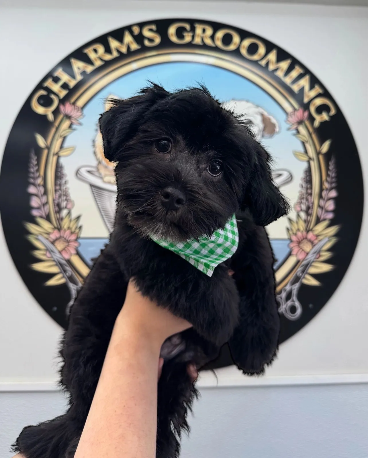Charm's Grooming