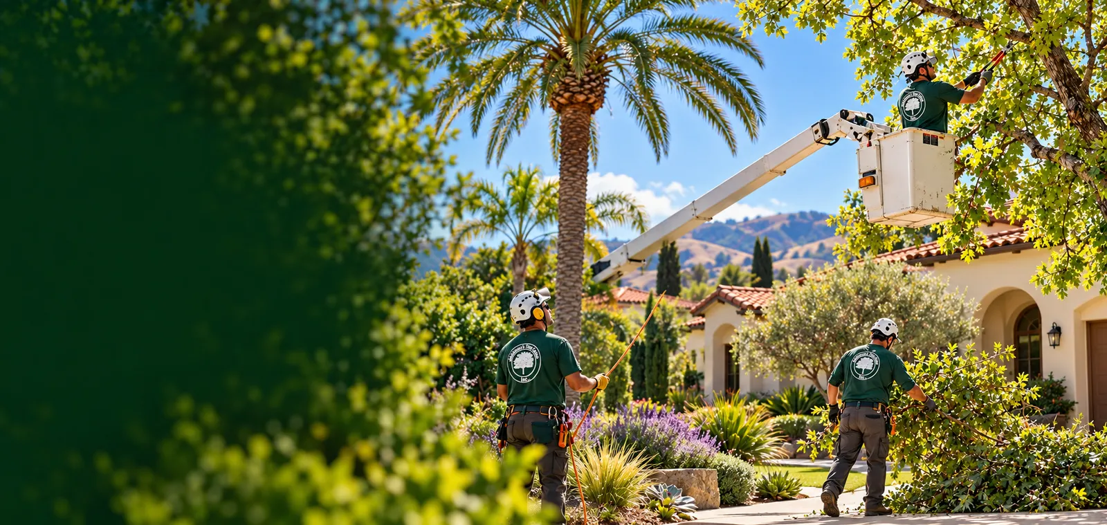 Johnsons Tree Care Inc