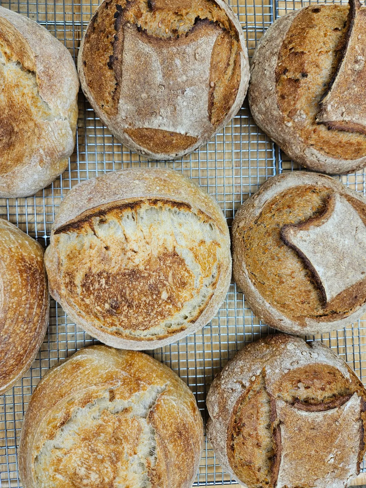 The Bread Pedalers