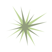 Craig Dental Center logo