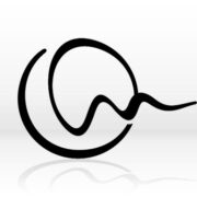 Office World Workplace logo