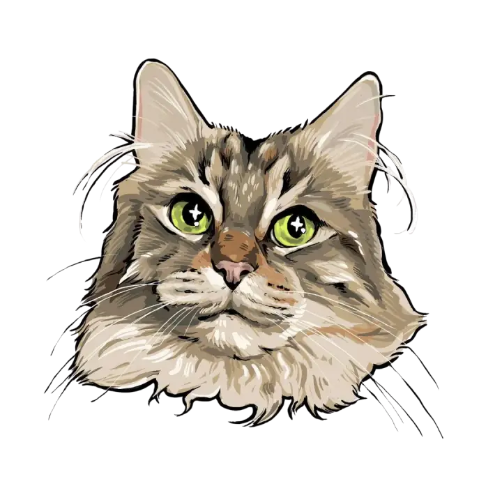 The Healthy Pet