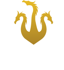 Vintage Underground logo