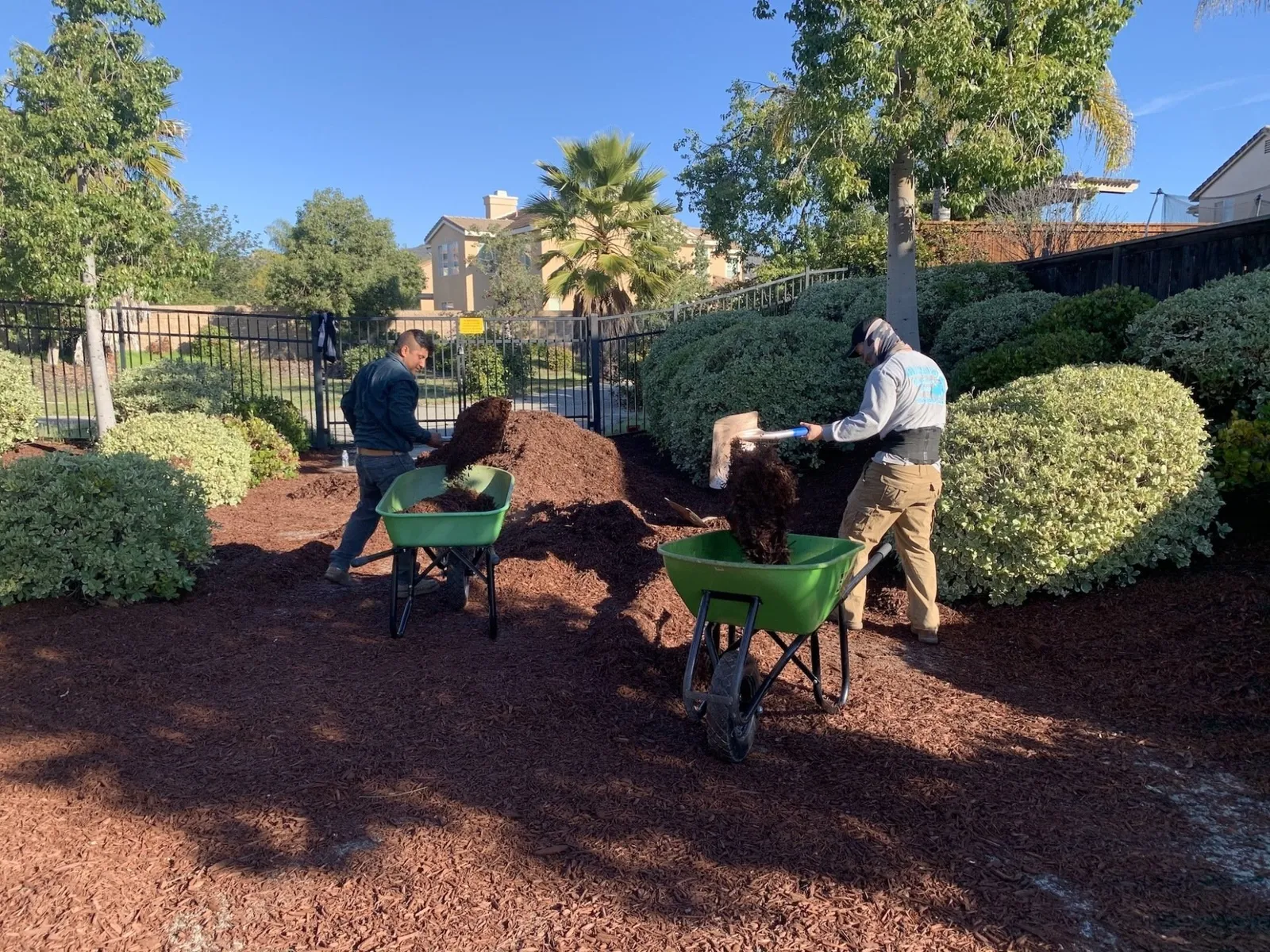 Orozco Landscaping Services